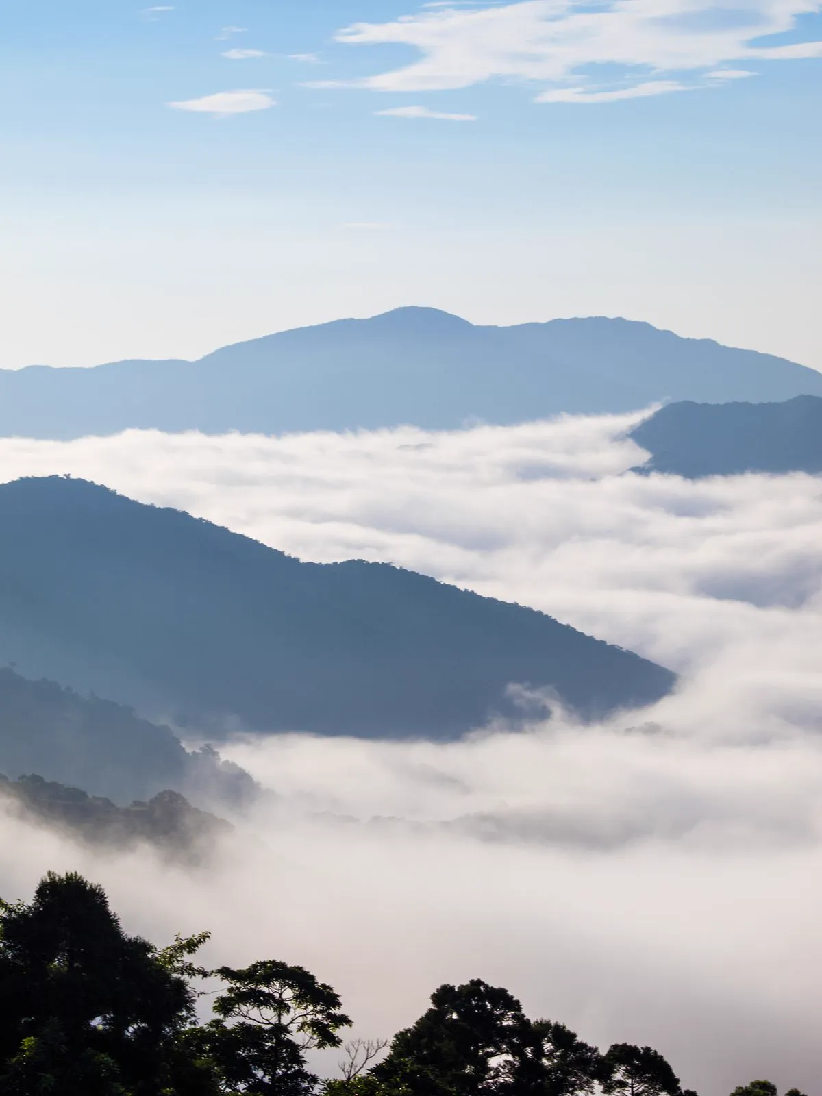 清晨山稜間流動的雲海與晨霧，層巒疊翠
