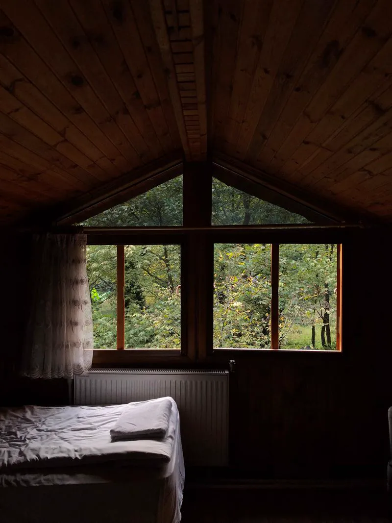 木屋客房裡的山形窗景，窗外是一片靜謐森林